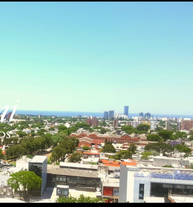 WhatsApp Image 2025-11-04 at 19.47.30