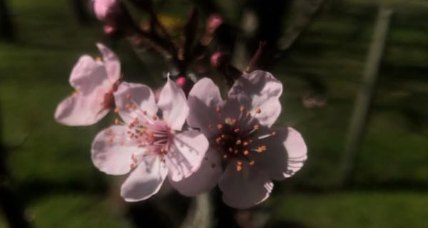 Screenshot_20250704_192617_Instagram