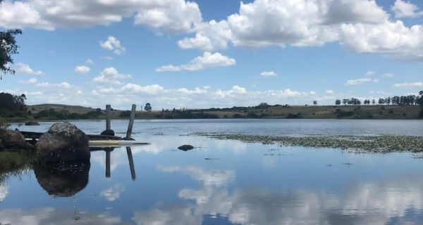 Screenshot_20250704_192727_Instagram