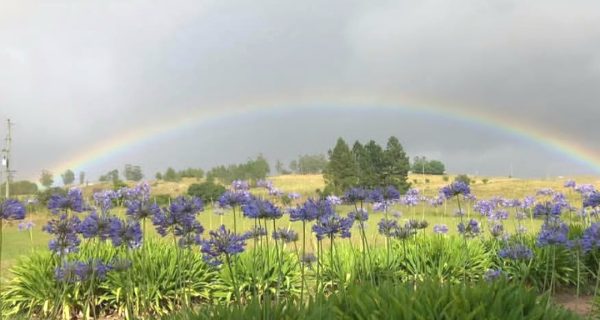 Screenshot_20250704_192744_Instagram