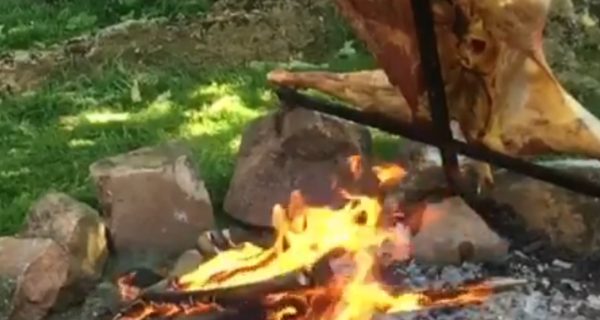 Screenshot_20250704_192750_Instagram