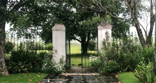 Screenshot_20250704_192756_Instagram