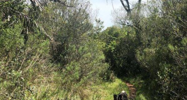 Screenshot_20250704_192809_Instagram