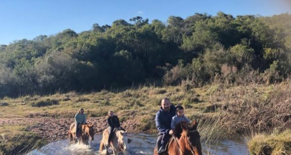 Screenshot_20250704_193016_Instagram