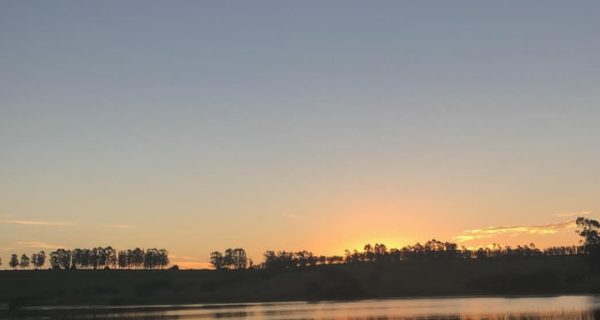 Screenshot_20250704_193042_Instagram